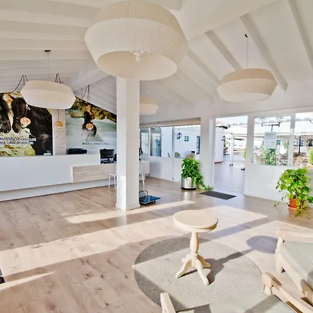 Appartement Siesta Mar Cala En Porter (Menorca)