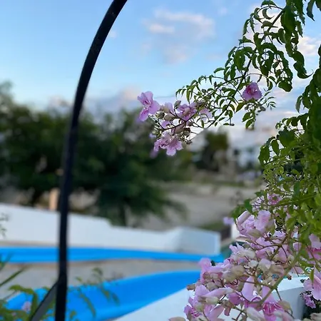 Siesta Mar